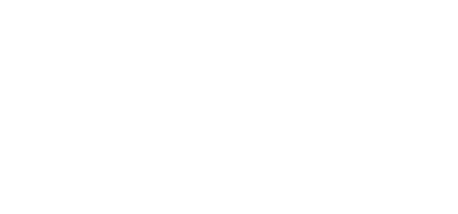 Logistica Pegaso